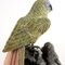 Halbedelsteine Papagei Figur, 1900er 4