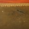 Empire Plat Desk in Mahogany Veneer, Italy, 1900s, Image 6