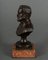 Bronze Bust of Pasteu on Marble Base, 19th Century 4