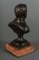 Bronze Bust of Pasteu on Marble Base, 19th Century 7