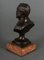 Bronze Bust of Pasteu on Marble Base, 19th Century 5