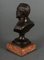 Bronze Bust of Pasteu on Marble Base, 19th Century, Image 5