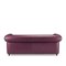 Portofino Two-Seater Purple Sofa by Stefano Giovannoni 3