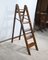 Vintage Library Stepladder, 1920s, Image 2