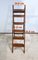 Vintage Library Stepladder, 1920s, Image 20