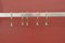 Mid-Century Coat Rack by Drevokov, Czechoslovakia, 1950s 8