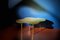 Table Basse en Laiton par Sebastian Scherer, Set de 3 2