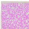 Alfombra CF BPG1 Mutation en rosa de Caturegli Formica, Imagen 3
