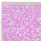 CF BPG1 Pink Mutation Teppich von Caturegli Formica 3