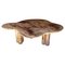 Martinique Large Coffee Table by Jean-Fréderic Bourdier 1
