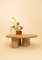 Solid Oak and Veneer Coffee Table by Helder Barbosa 2