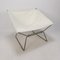 AP-14 Ring Butterfly Chair by Pierre Paulin for AP Polak, 1950s, Image 2