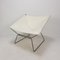 AP-14 Ring Butterfly Chair by Pierre Paulin for AP Polak, 1950s, Image 3