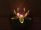 Small Eastern European Acrylic Plastic Water Lily or Lotus Night Lamp, 1970s, Image 7