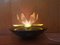 Small Eastern European Acrylic Plastic Water Lily or Lotus Night Lamp, 1970s 12