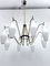 Large Mid-Century 8 Arms Chandelier from Arredoluce, Italy, 1950s 1