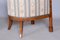 Biedermeier Birch Seating Set, Vienna, Austria, 1830s, Set of 3 14