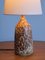 Glazed Stoneware Table Lamp by Gunnar Borg for Höganäs, Sweden, 1960s 8