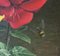 Wolfgang Grünberg, Due rose con calabrone, anni '60, olio su tela, con cornice, Immagine 5