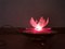 Pink Acrylic Water Lily Night Light Lamp, Eastern Europe, 1972 8