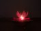 Pink Acrylic Water Lily Night Light Lamp, Eastern Europe, 1972, Image 11