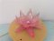 Pink Acrylic Water Lily Night Light Lamp, Eastern Europe, 1972 7