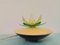 Green Acrylic Water Lily Night Light Lamp, Eastern Europe, 1970s 3