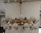 Murano Art Glass and Brass Midcentury Chandelier 1