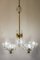 Italian Murano Suspension Chandelier attributed to Murano Barovier & Toso, 1940s, Image 3