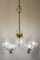 Lámpara de araña italiana de Murano atribuida a Murano Barovier & Toso, años 40, Imagen 3