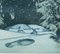 Ernst Fuchs, La traccia perduta, 1972, Acquaforte, Immagine 3