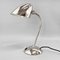 Functionalist / Bauhaus Flexible Table Lamp attributed to Franta Anyz, 1930s 4