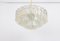 Lámpara de araña de cristal de Murano atribuida a Doria Leuchten, Alemania, años 60, Imagen 5