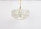 Lámpara de araña de cristal de Murano atribuida a Doria Leuchten, Alemania, años 60, Imagen 4