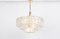 Lámpara de araña de cristal de Murano atribuida a Doria Leuchten, Alemania, años 60, Imagen 7