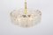 Lámpara de araña de cristal de Murano atribuida a Doria Leuchten, Alemania, años 60, Imagen 8