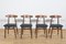 Mid-Century Dining Chairs Model 5912 from Zamojska Furniture Factory, 1960s, Set of 4 1