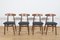 Mid-Century Dining Chairs Model 5912 from Zamojska Furniture Factory, 1960s, Set of 4, Image 1