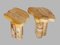 Clouds Side Tables by Jean-Fréderic Bourdier, Set of 2, Image 6