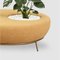 Nest Round Sofa Planter by Pepe Albargues 4