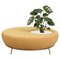 Nest Round Sofa Planter by Pepe Albargues 1