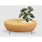 Nest Round Sofa Planter by Pepe Albargues 5