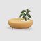 Nest Round Sofa Planter by Pepe Albargues 2