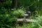 Galva Steel Outdoor Chairs by Atelier Thomas Serruys, Set of 8 10