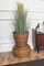 Italian Bamboo and Rattan Vase, 1960s 3