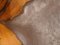 Tavolo Dorsale in cedro e ciliegio di Biome Design, Immagine 6