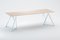 Steel Stand Table 240 in Ash by Sebastian Scherer, Image 12