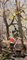 Ezelino Briante, Nel bosco, óleo sobre cartón, enmarcado, Imagen 4