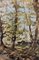 Ezelino Briante, Nel bosco, óleo sobre cartón, enmarcado, Imagen 7