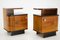 Bedside Tables in Walnut Veneer, Former Czechoslovakia, 1950s, Set of 2 2